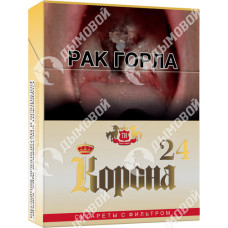 Корона 24 Корона 24