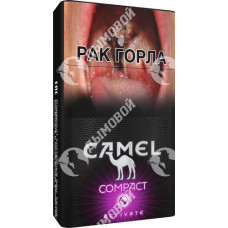 Camel Compact Activate Purple Camel Compact Activate Purple