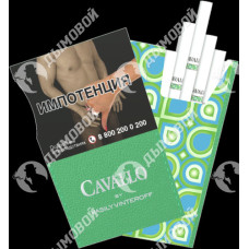 Cavallo by Vasily Vinteroff Cavallo by Vasily Vinteroff