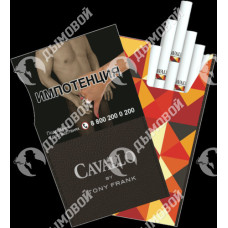 Cavallo by Tony Frank Cavallo by Tony Frank